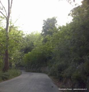 ntuario Dinnammare-10-05-2015 19-01-21